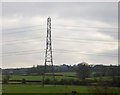 Pylon near Berkley Marsh