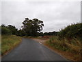 TL8424 : Marks Hall Road, Coggeshall by Geographer
