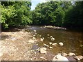 River Dart