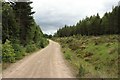 NN5187 : Track in Ardverikie Forest by Graham Robson