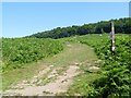 Bridleway meets the road