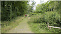J3237 : Track, Castlewellan Forest Park by Mr Don't Waste Money Buying Geograph Images On eBay