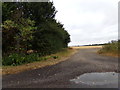 TL8524 : Footpath to the A120 Coggeshall Road by Geographer