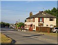 The Dancing Dog Saloon, Howt Green