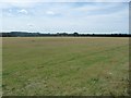 Field with a public footpath across it, near Norton