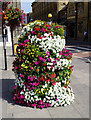 Floral display, Bridge Street, Salisbury