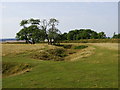 SU1833 : Part of Figsbury Ring, near Salisbury (1) by Brian Robert Marshall