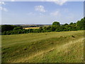 SU1833 : Part of Figsbury Ring, near Salisbury (2) by Brian Robert Marshall