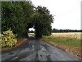 TL8526 : America Road, Earls Colne by Geographer