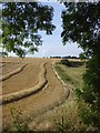 Footpath towards Borden