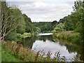 The River Teviot at Kirkbank