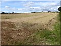 Part-harvested field at Sturton Grange Farm
