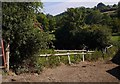 Cow path, Church Stoke