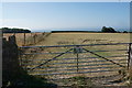 Footpath to Dimhole and Tresilian