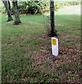 Gas pipeline marker in Trethomas