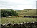 Grazing and woodland near Greystone