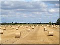 Neatly parked bales