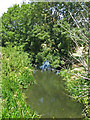 The River Ash east of Watersplash Farm buildings