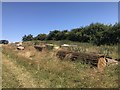 SK1427 : Unused cross-country fences at Eland Lodge Horse Trials by Jonathan Hutchins