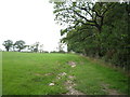 Grassland beside Stable Wood