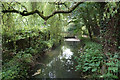 Part of the River Churn near South Cerney