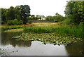 NS6666 : Auchinlea Park Pond by Richard Sutcliffe