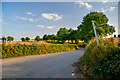 SS8503 : Mid Devon : Country Lane by Lewis Clarke