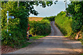 SS8503 : Mid Devon : Preston Lane by Lewis Clarke