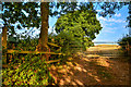 Mid Devon : Grassy Field & Gate