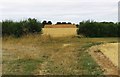 Hayrick in field near Bampton, Oxon