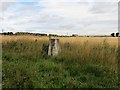 Maisondieu  trig pillar in Brechin