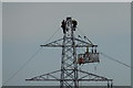 SO8551 : Workmen on a pylon by Philip Halling