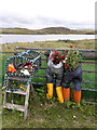 Great Bernera: gardening is in the jeans