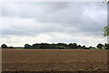 Ploughed Field beside the B1224