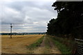 Track beside the Eastern Edge of Thorp Arch Trading Estate