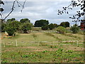 Ridge and furrow field