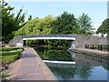 The Bentley Canal footbridge