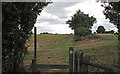 Stile and Public Footpath, near Beaumont Otes, Chignall 