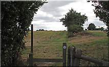 TL6809 : Stile and Public Footpath, near Beaumont Otes, Chignall  by Roger Jones