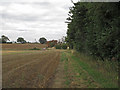 Public Footpath on Field Boundary, near Mashbury Road, Chignall