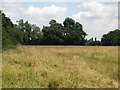 Point Meadow, Desborough Island