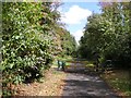 Footpath Gate