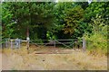 Gates near Bampton, Oxon