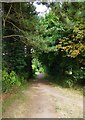 Lane and public footpath near Bampton, Oxon