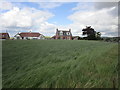 Grass field and houses on Perryflats Road