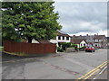 Tree and houses, Navigation Street, Trethomas