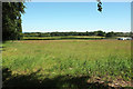 Farmland near Snow Close Farm