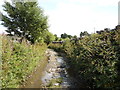 Ford on Cockhill Lane