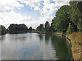 The River Thames by Dumsey Eyot