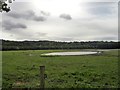 Pool at Chartershaugh in late summer